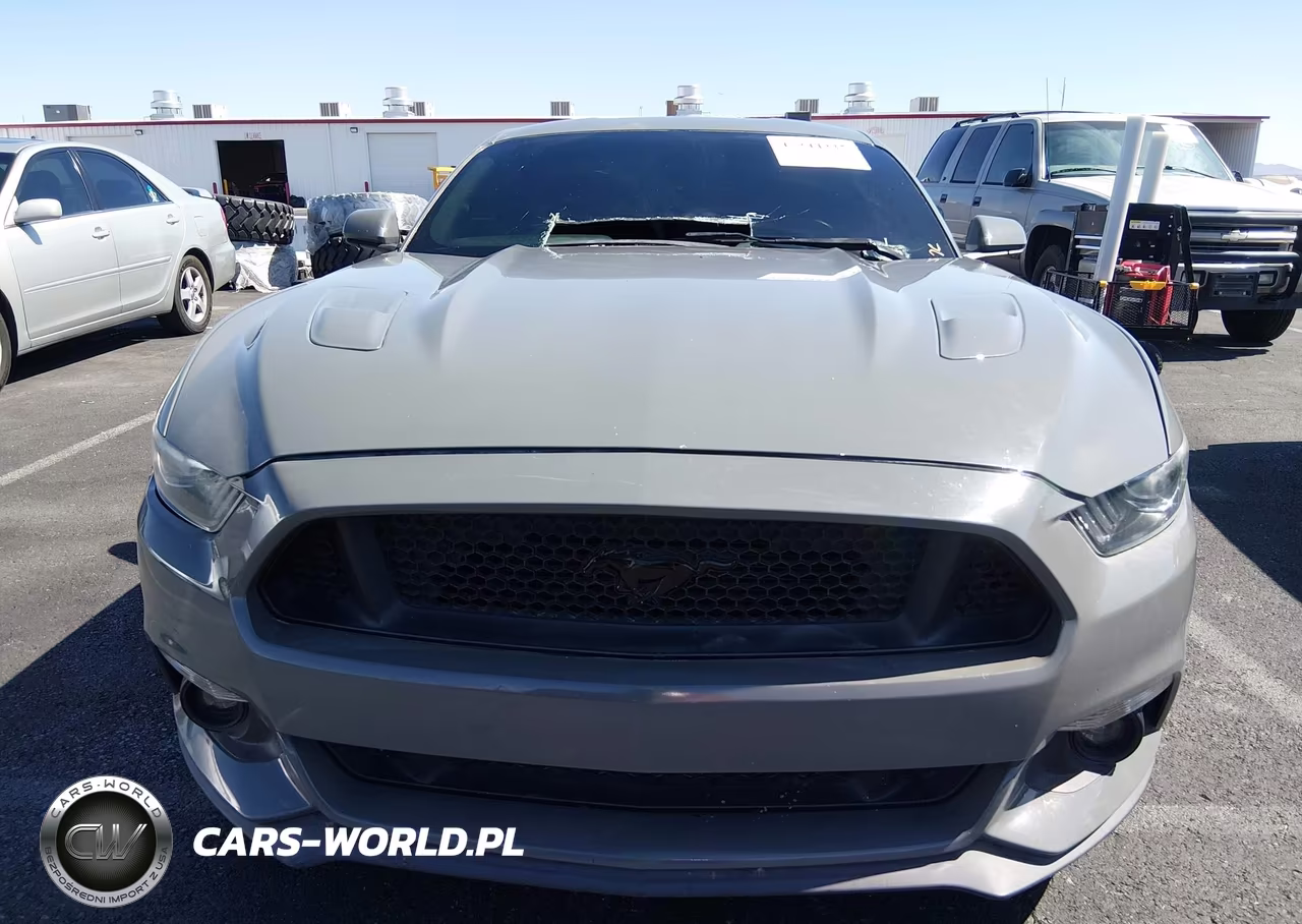 2017 Ford Mustang Gt VIN:1FA6P8CF5H5257065 - 12