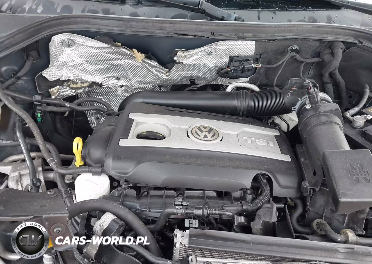 2017 Volkswagen Tiguan 2.0T-2.0T S VIN:WVGAV7AX8HK053373 - 10