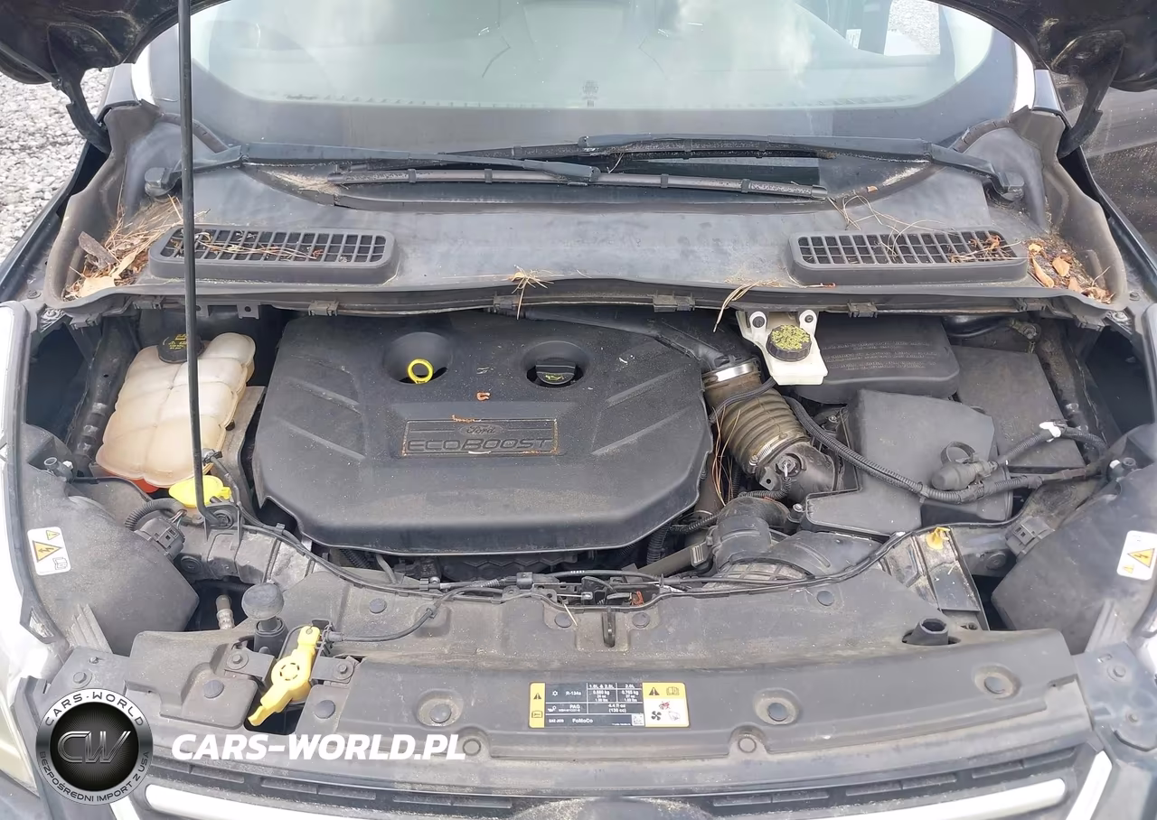 2014 Ford Escape Titanium VIN:1FMCU9J98EUA79724 - 10