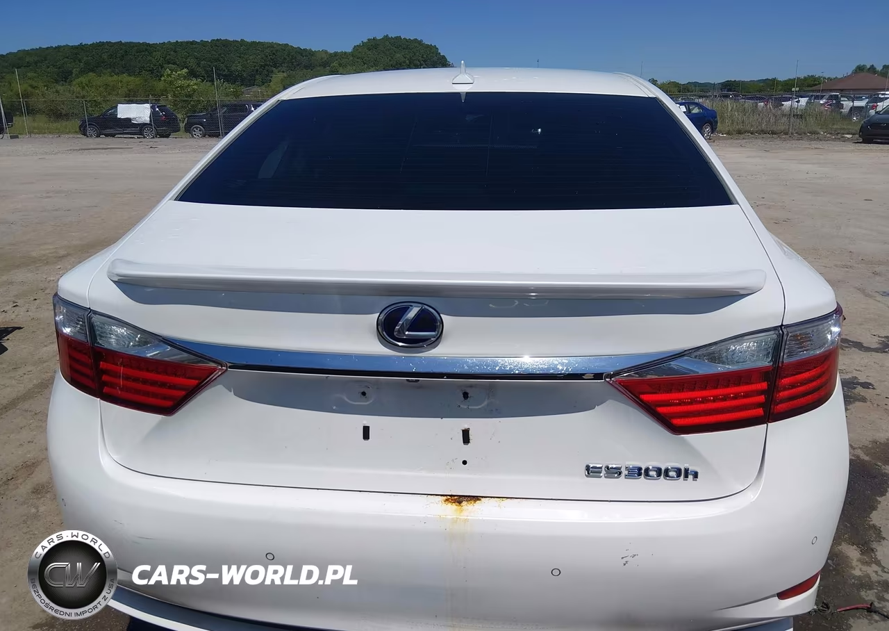 2014 Lexus Es 300H VIN:JTHBW1GG0E2045997 - 16
