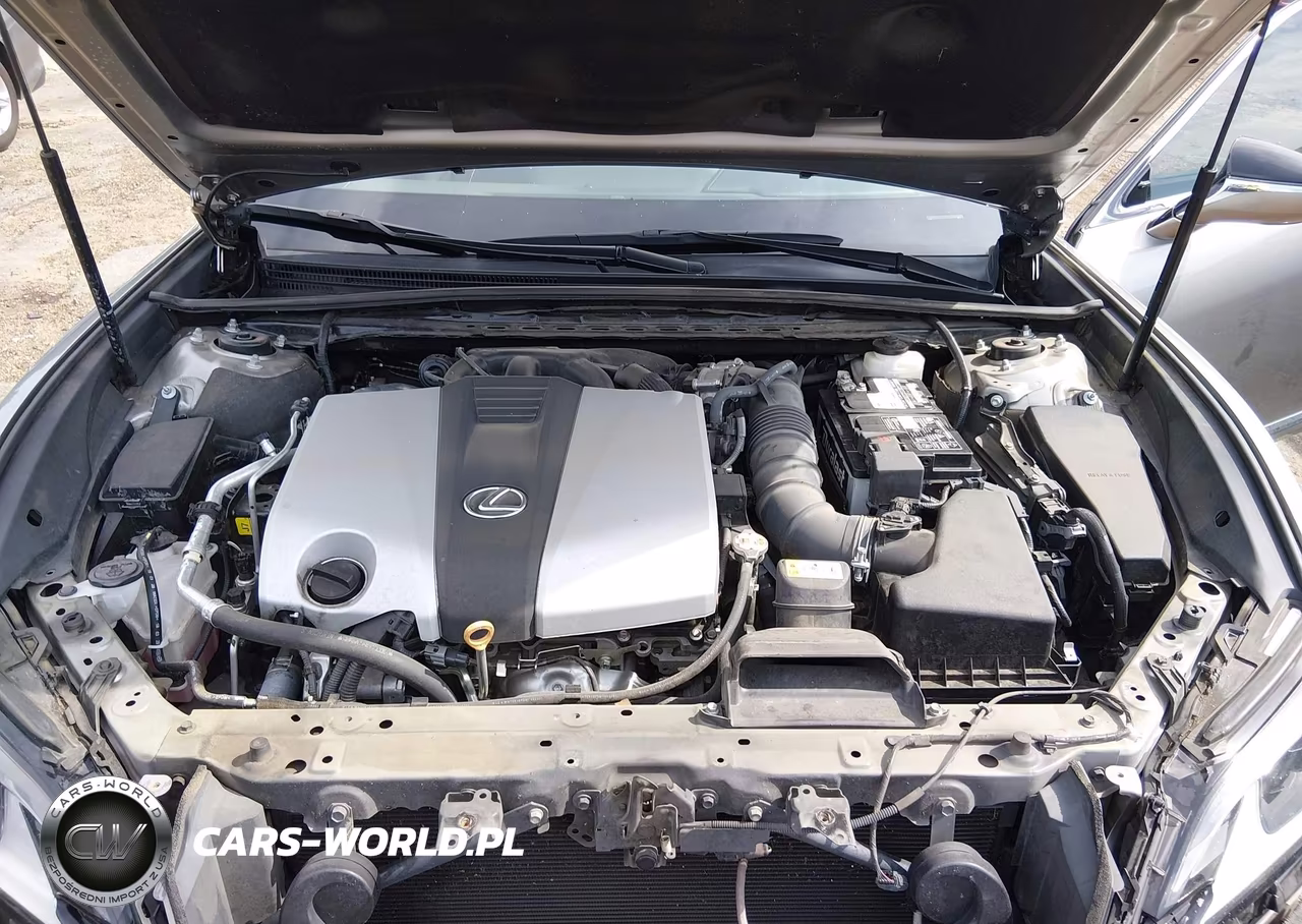 2020 Lexus Es 350 VIN:58ADZ1B12LU082382 - 10