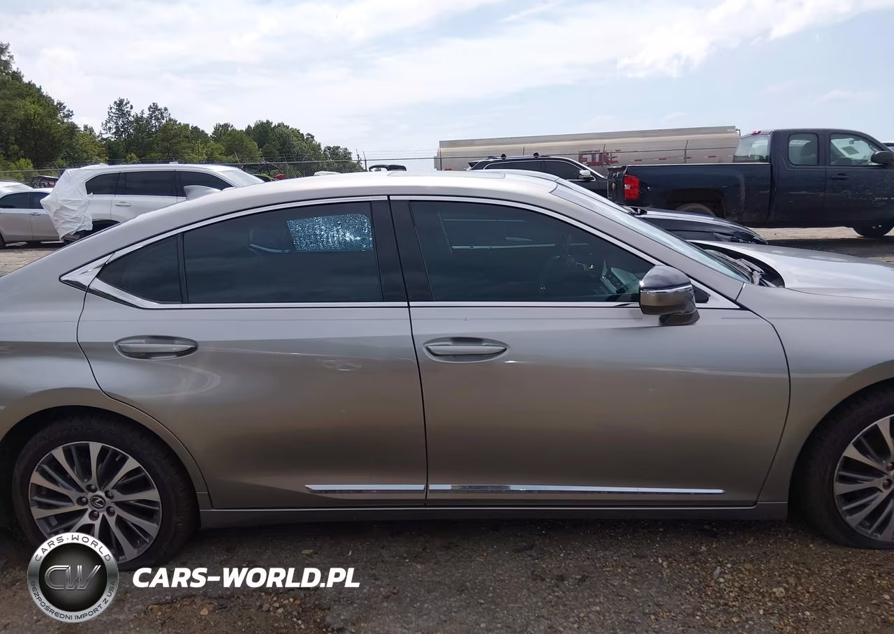 2020 Lexus Es 350 VIN:58ADZ1B12LU082382 - 13