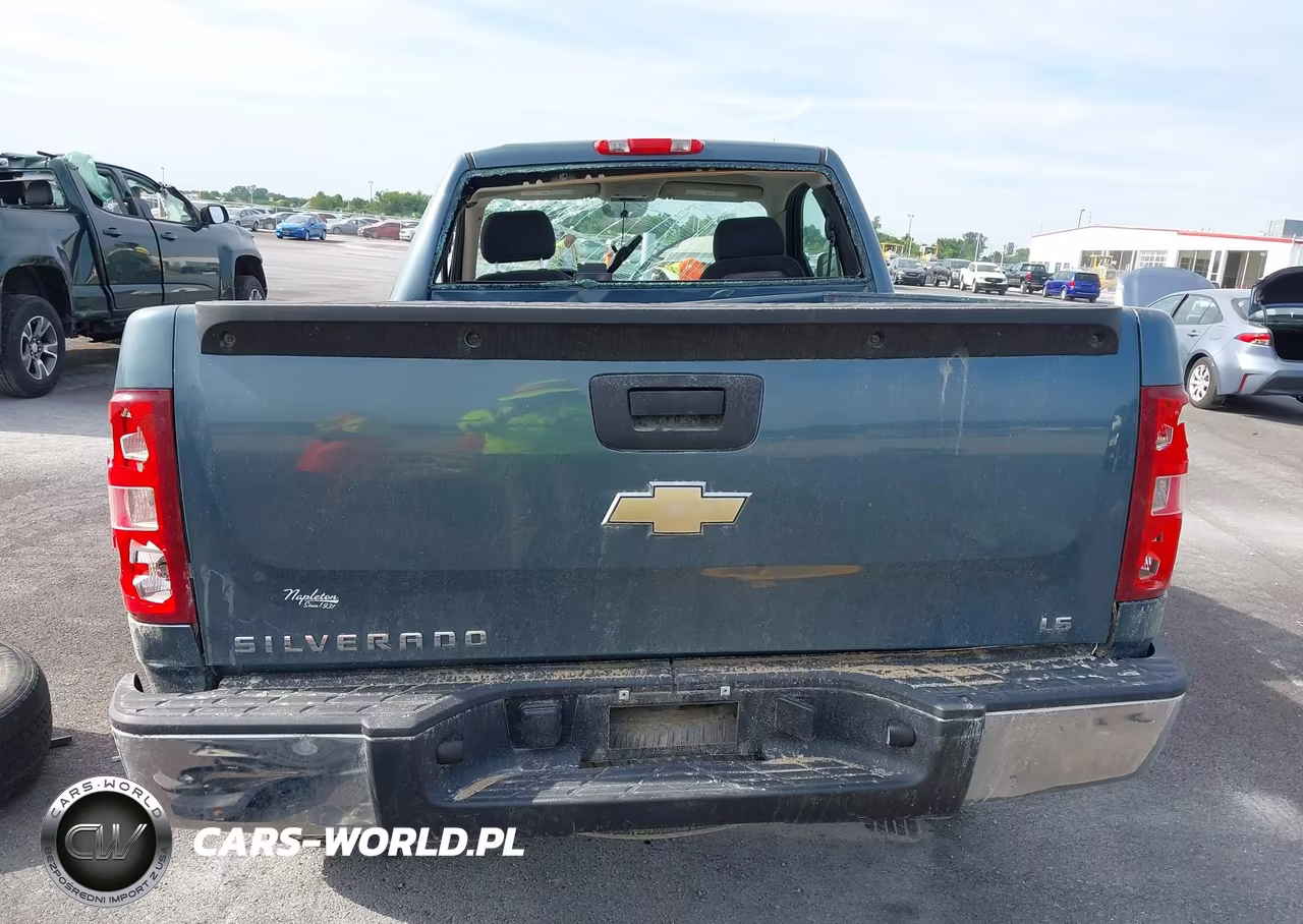 2008 Chevrolet Silverado 1500 Work Truck VIN:1GCEC14XX8Z167418 - 17