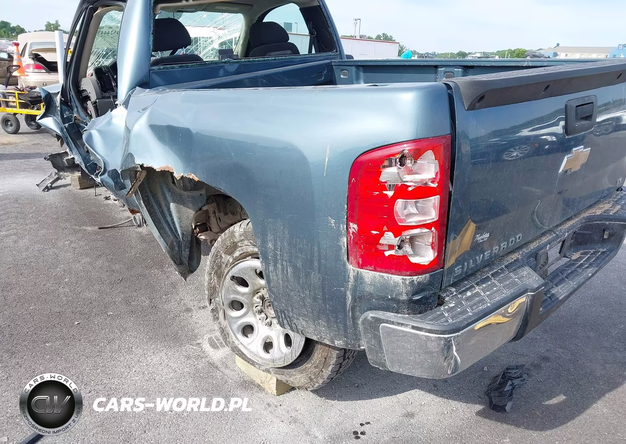 2008 Chevrolet Silverado 1500 Work Truck VIN:1GCEC14XX8Z167418 - 6
