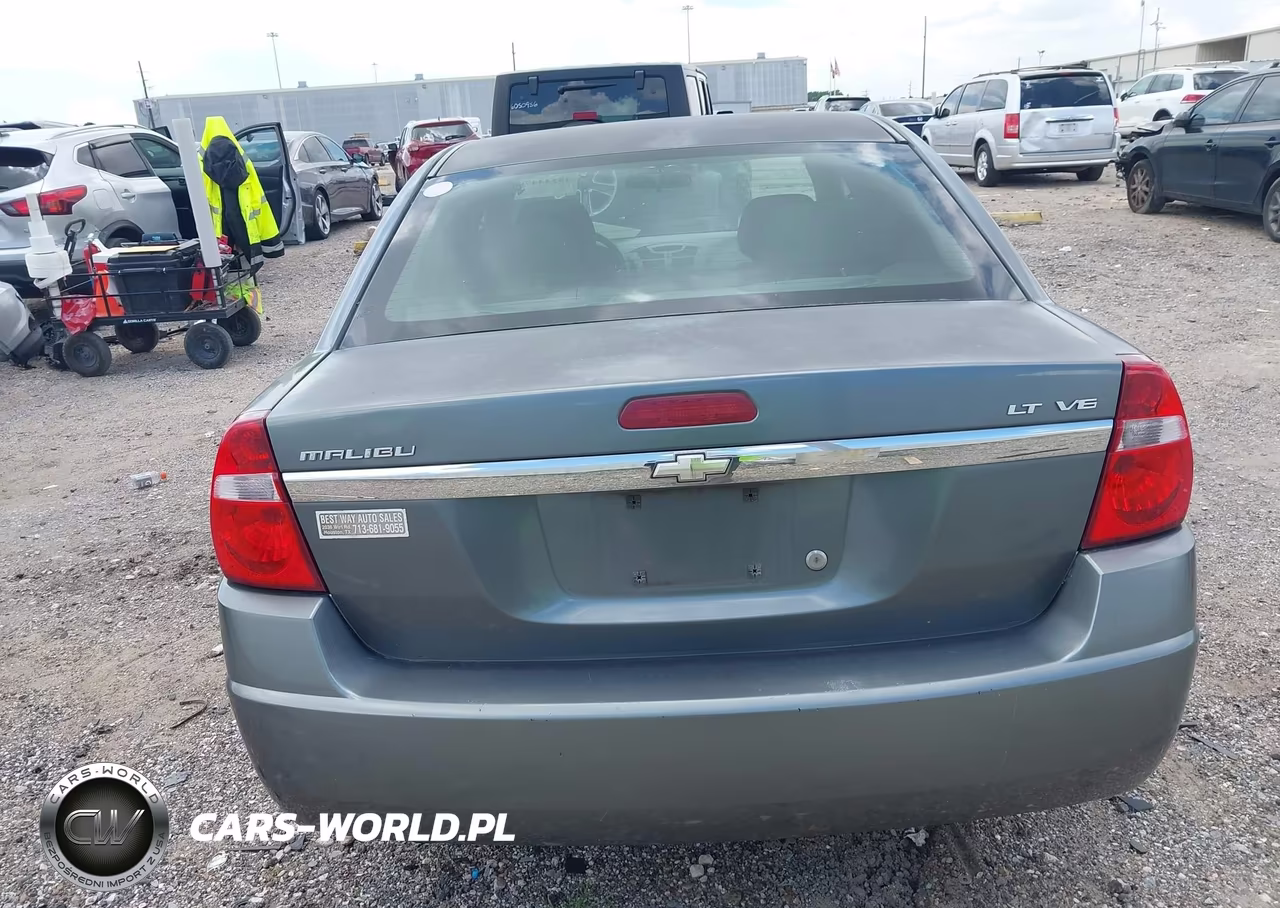2006 Chevrolet Malibu Lt VIN:1G1ZT51896F126744 - 17