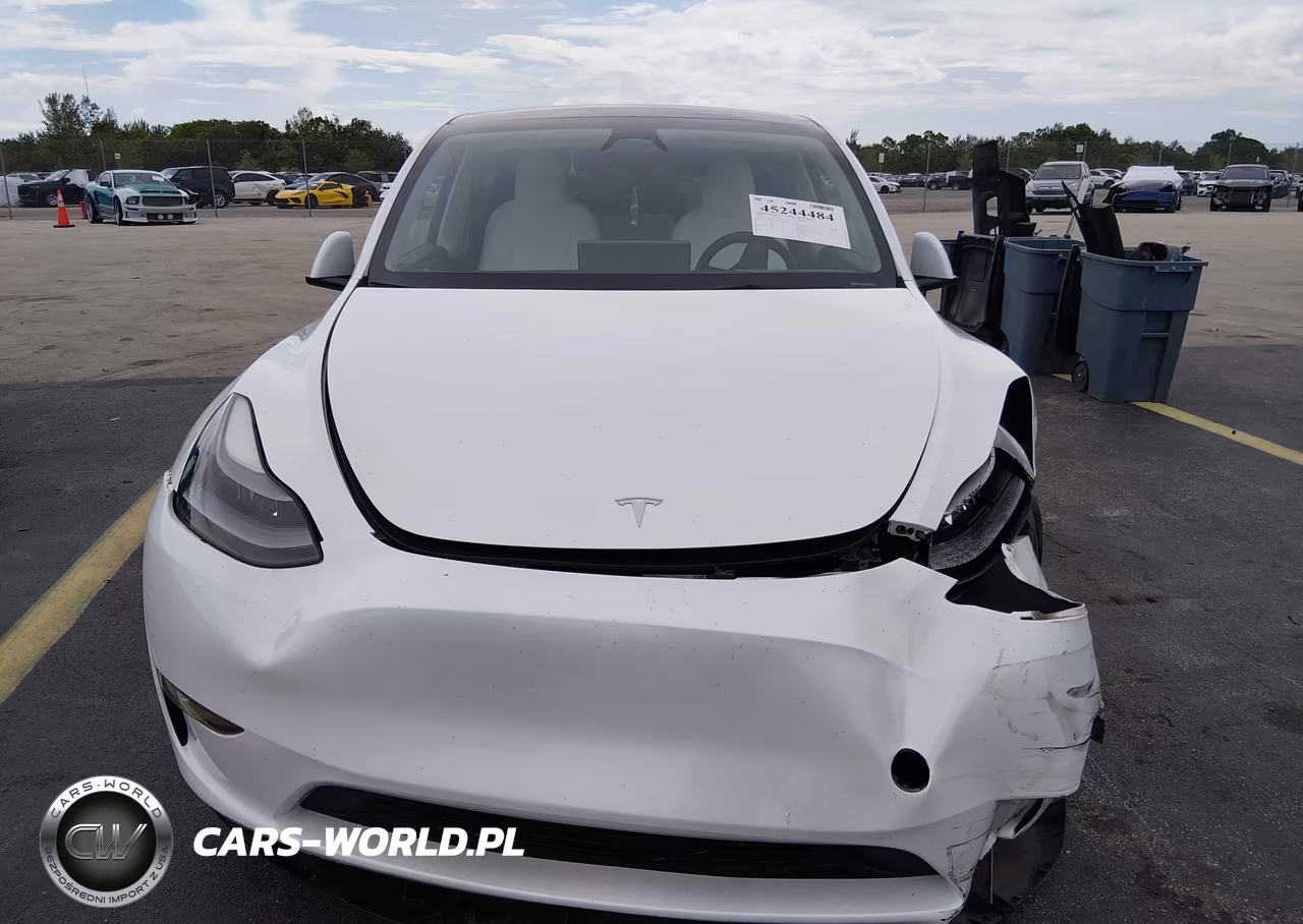2023 Tesla Model Y Rwd VIN:7SAYGDEDXPF922789 - 11