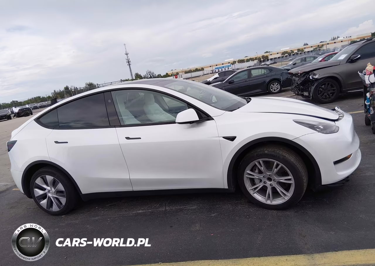2023 Tesla Model Y Rwd VIN:7SAYGDEDXPF922789 - 12