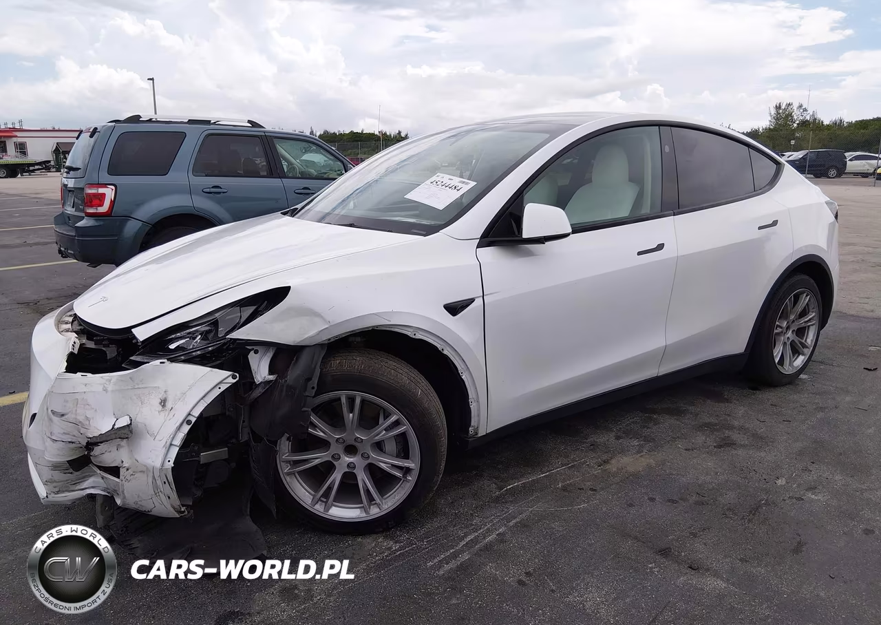 2023 Tesla Model Y Rwd VIN:7SAYGDEDXPF922789 - 2