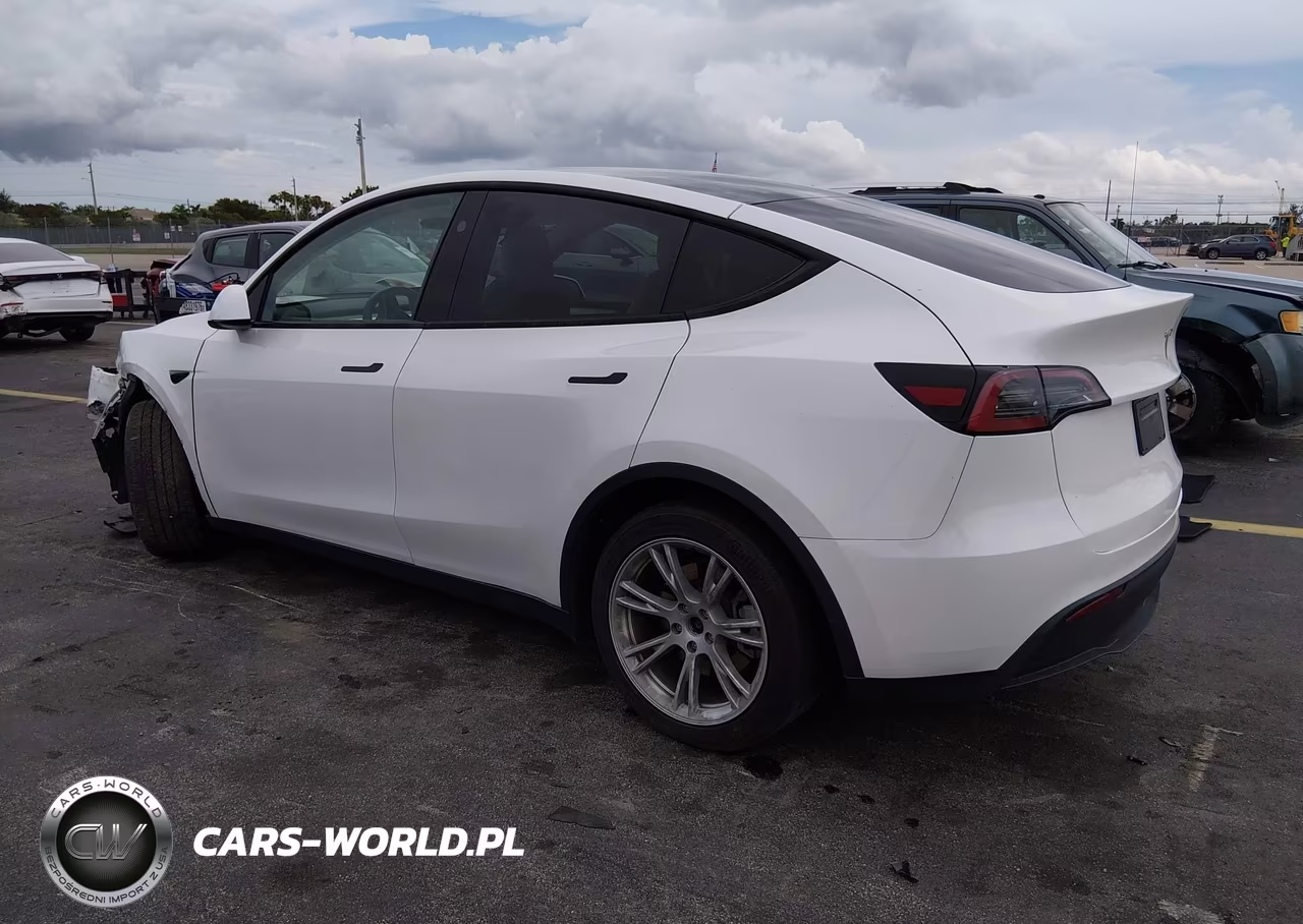 2023 Tesla Model Y Rwd VIN:7SAYGDEDXPF922789 - 3