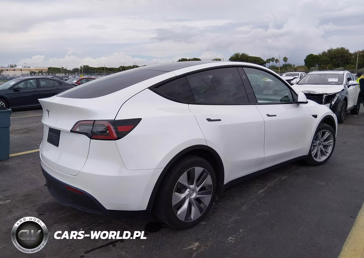 2023 Tesla Model Y Rwd VIN:7SAYGDEDXPF922789 - 4