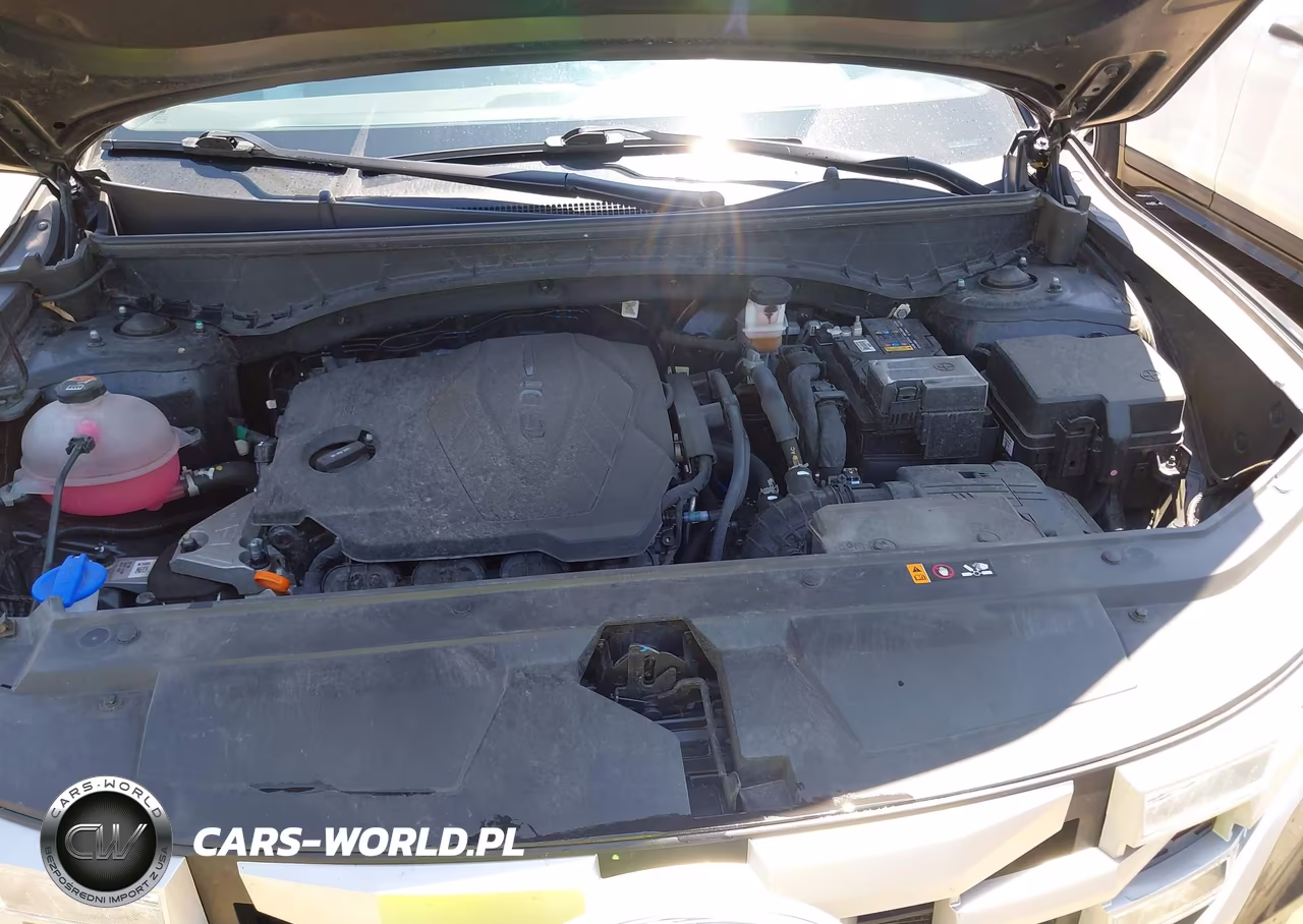 2024 Hyundai Santa Cruz Sel VIN:5NTJBDDE8RH118990 - 10