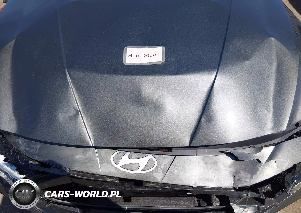 2025 Hyundai Elantra Sel Sport VIN:KMHLM4DG3SU063245 - 10