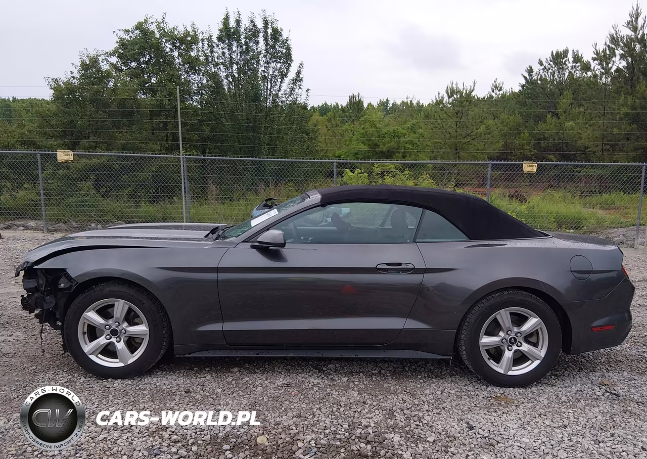 2015 Ford Mustang V6 VIN:1FATP8EM7F5323563 - 14