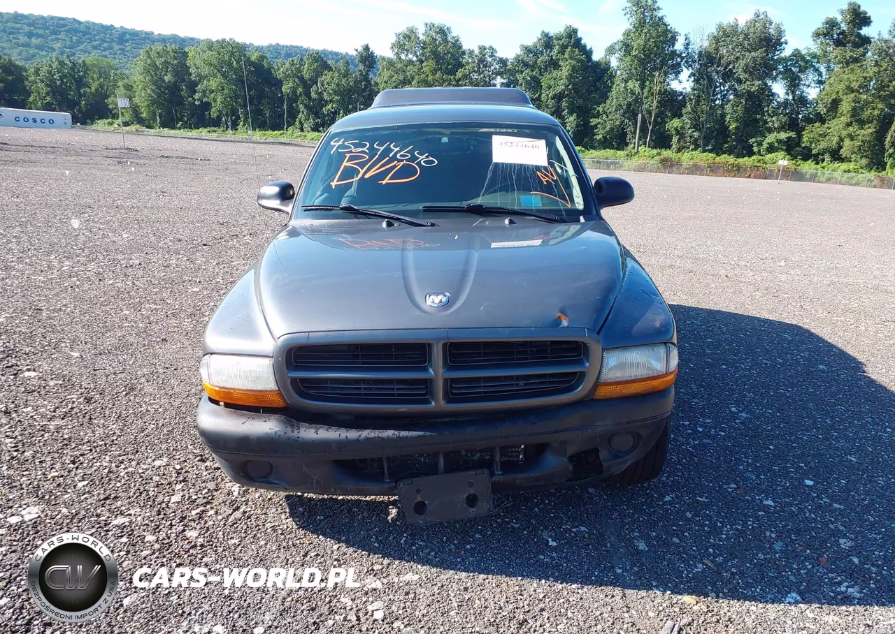 2003 Dodge Dakota VIN:1D7HL12X73S358124 - 12
