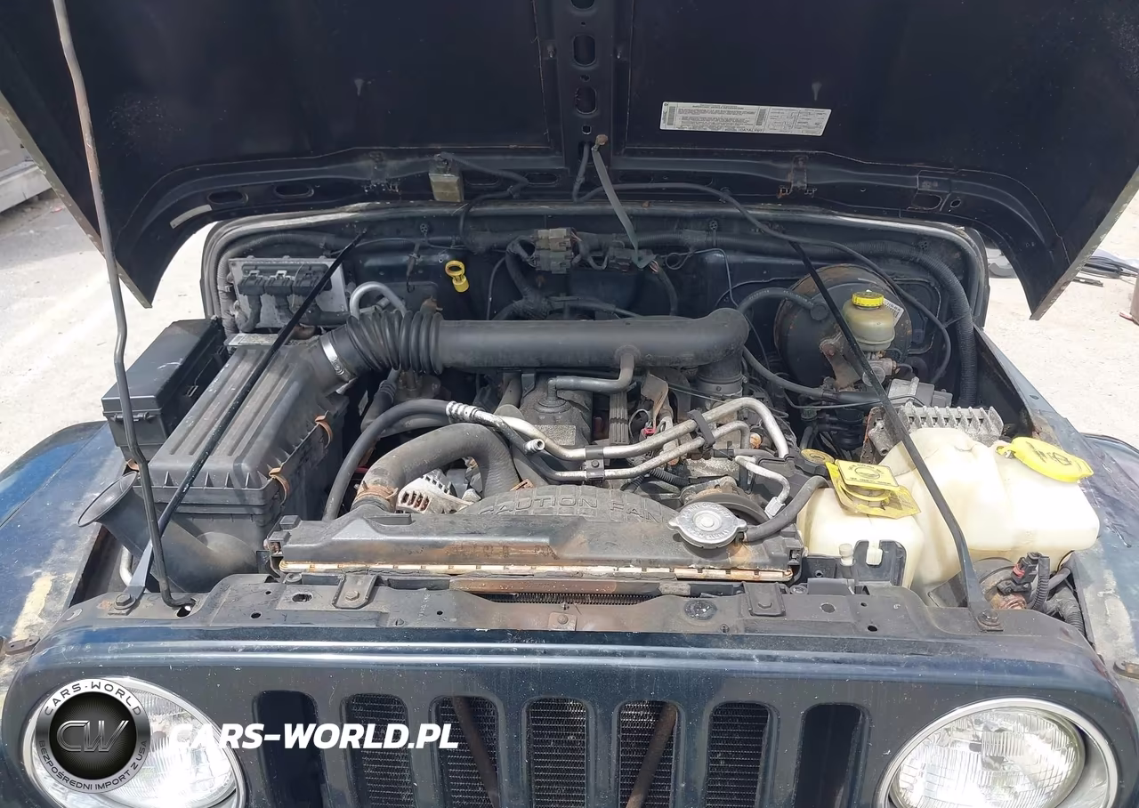 2003 Jeep Wrangler Sahara VIN:1J4FA59S53P361996 - 10