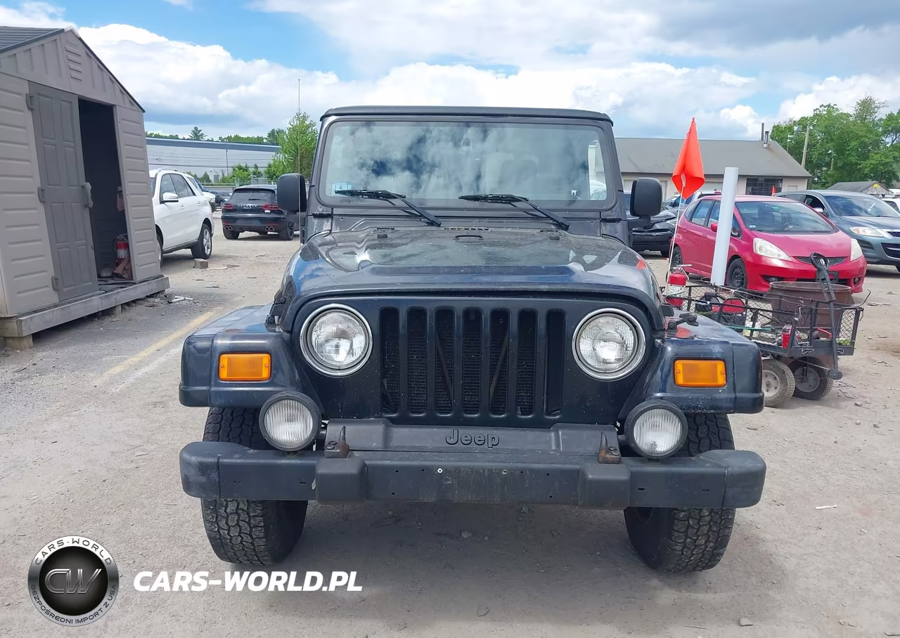 2003 Jeep Wrangler Sahara VIN:1J4FA59S53P361996 - 12