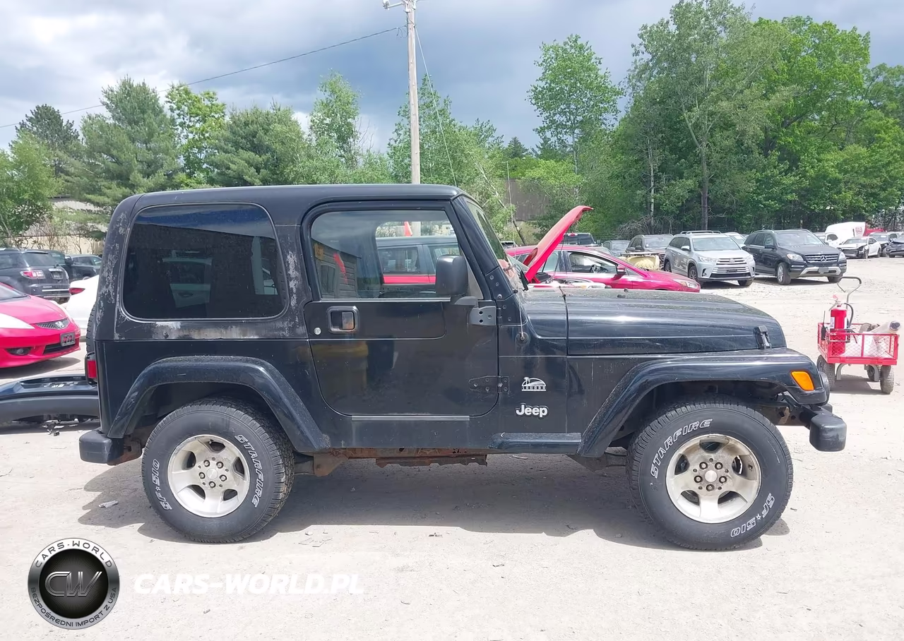 2003 Jeep Wrangler Sahara VIN:1J4FA59S53P361996 - 13