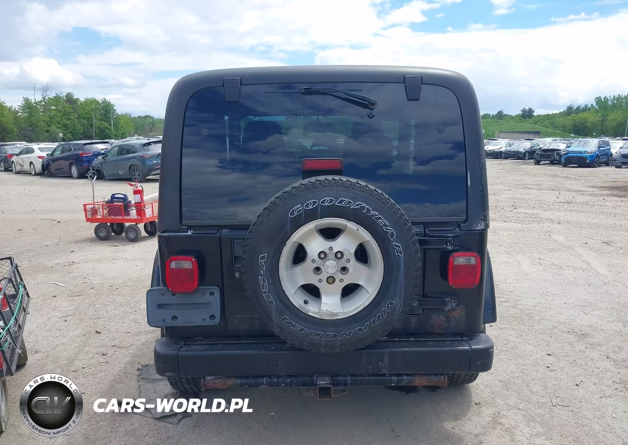 2003 Jeep Wrangler Sahara VIN:1J4FA59S53P361996 - 16