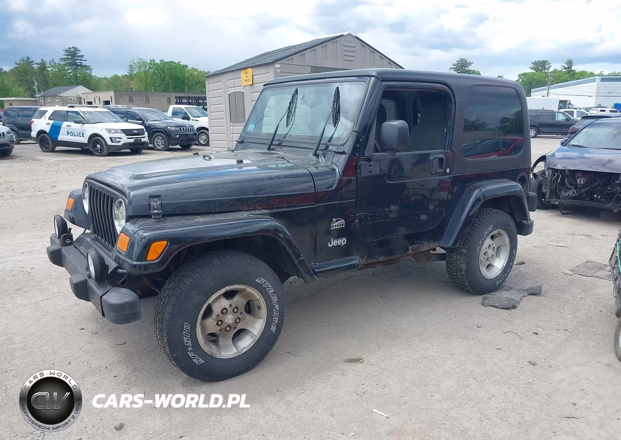 2003 Jeep Wrangler Sahara VIN:1J4FA59S53P361996 - 2