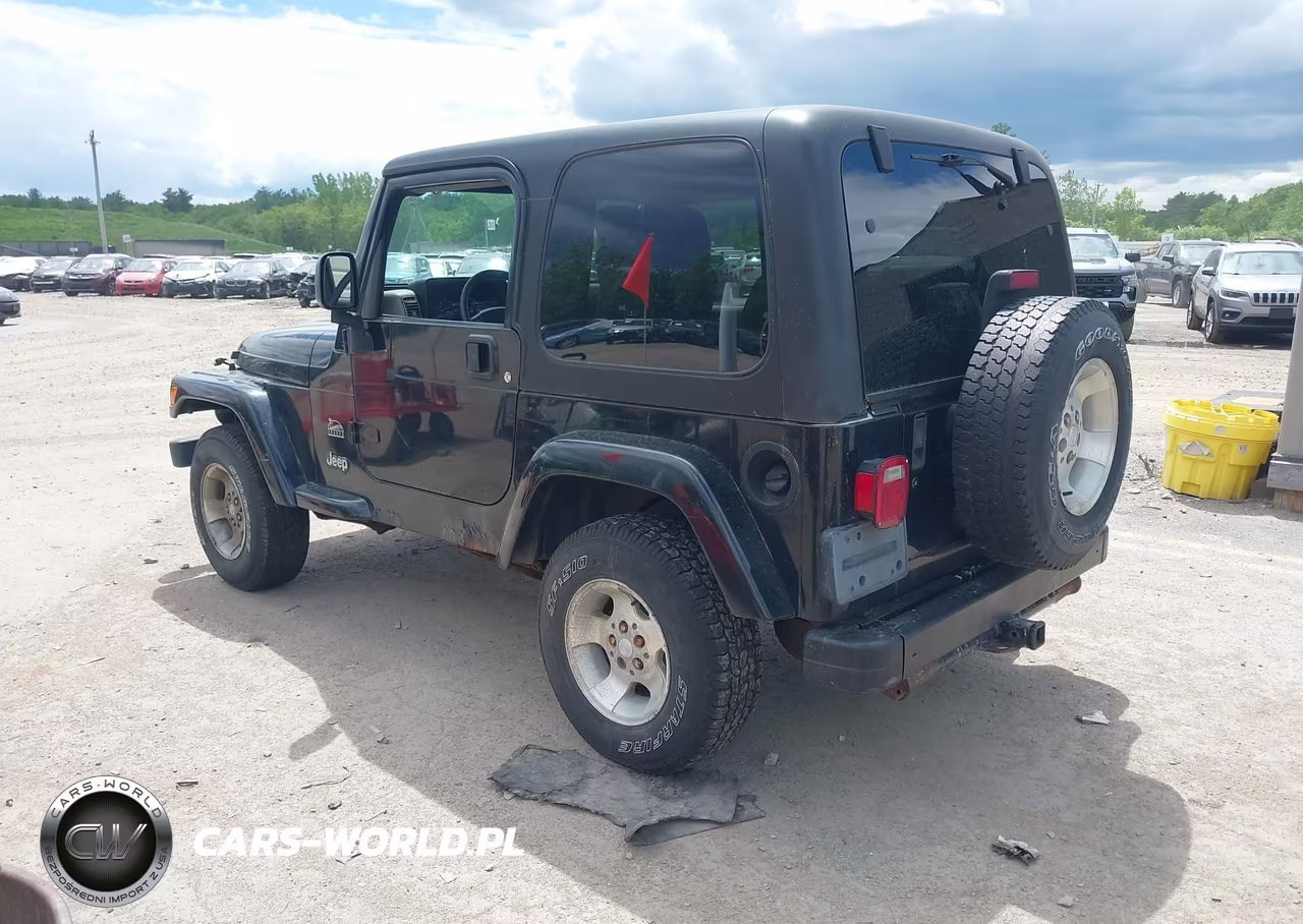 2003 Jeep Wrangler Sahara VIN:1J4FA59S53P361996 - 3