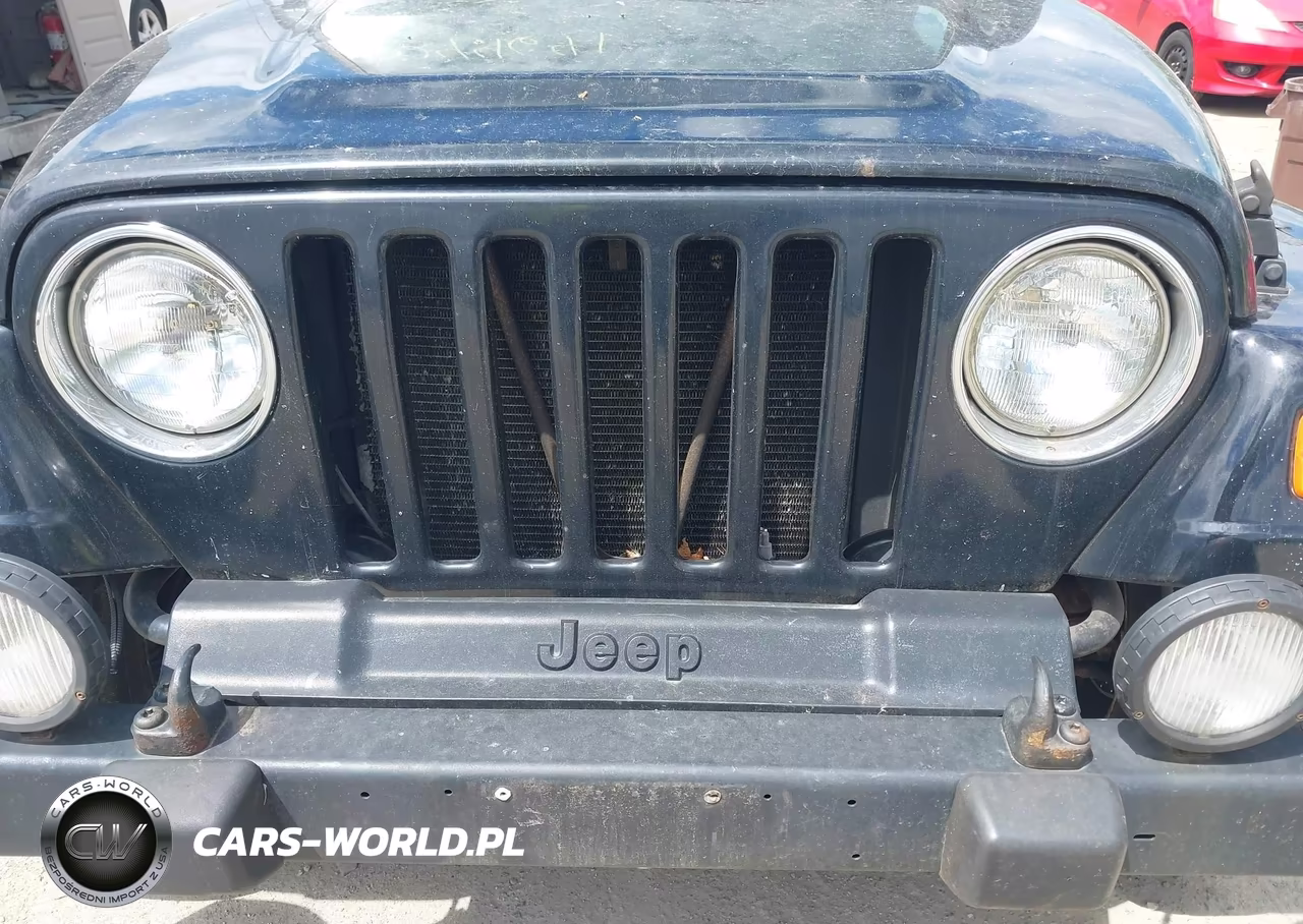 2003 Jeep Wrangler Sahara VIN:1J4FA59S53P361996 - 6