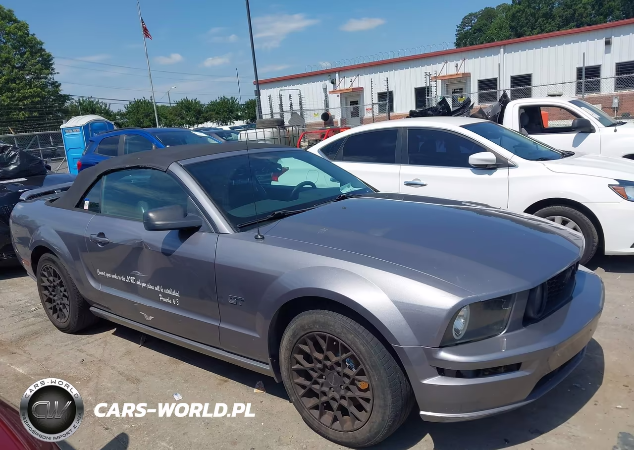 2007 Ford Mustang Gt Deluxe-Gt Premium VIN:1ZVFT85H775328623 - 13