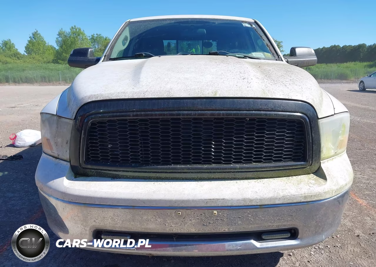2010 Dodge Ram 1500 Slt-Sport-Trx VIN:1D7RV1GTXAS124383 - 13
