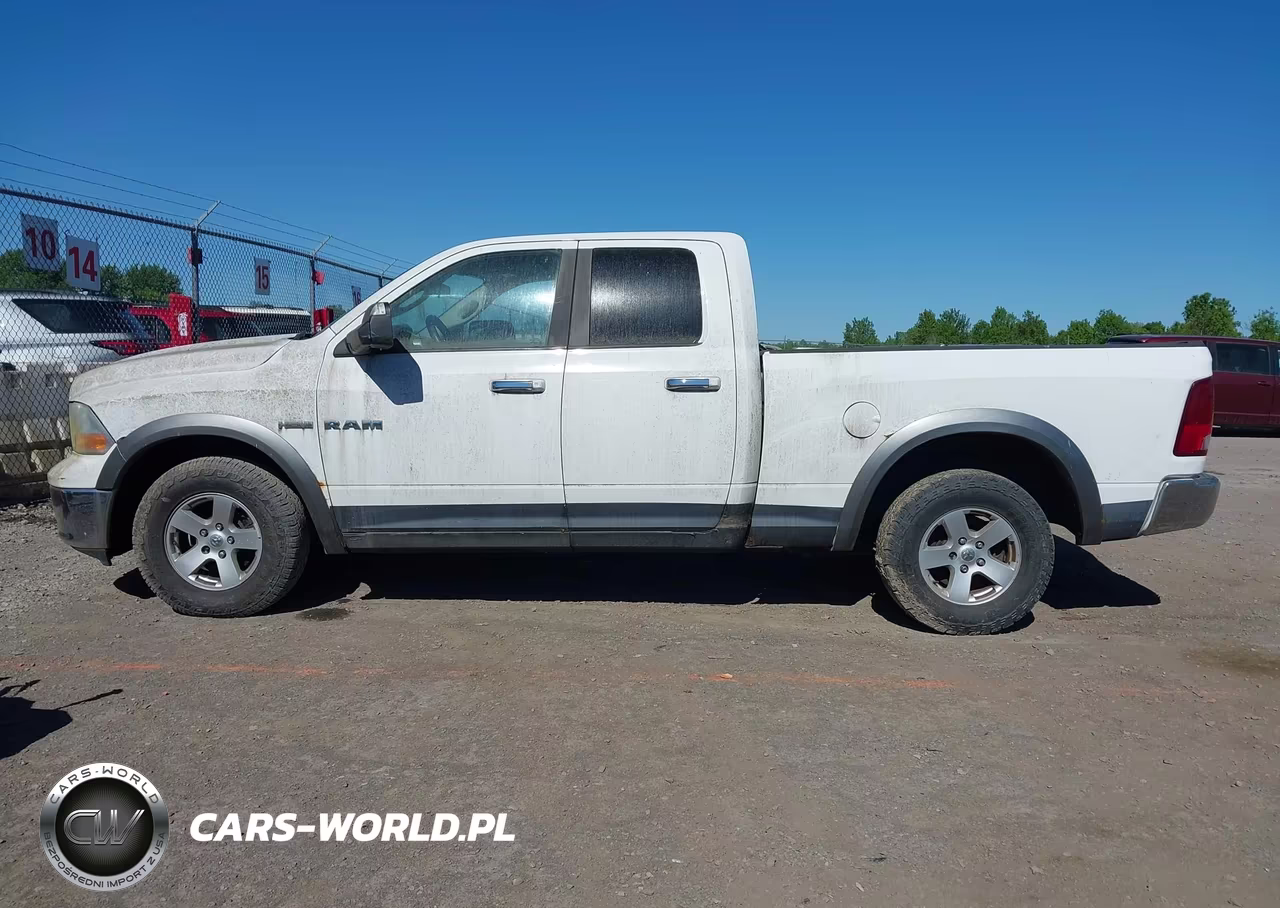 2010 Dodge Ram 1500 Slt-Sport-Trx VIN:1D7RV1GTXAS124383 - 15