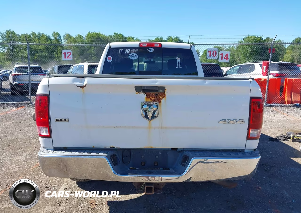 2010 Dodge Ram 1500 Slt-Sport-Trx VIN:1D7RV1GTXAS124383 - 17