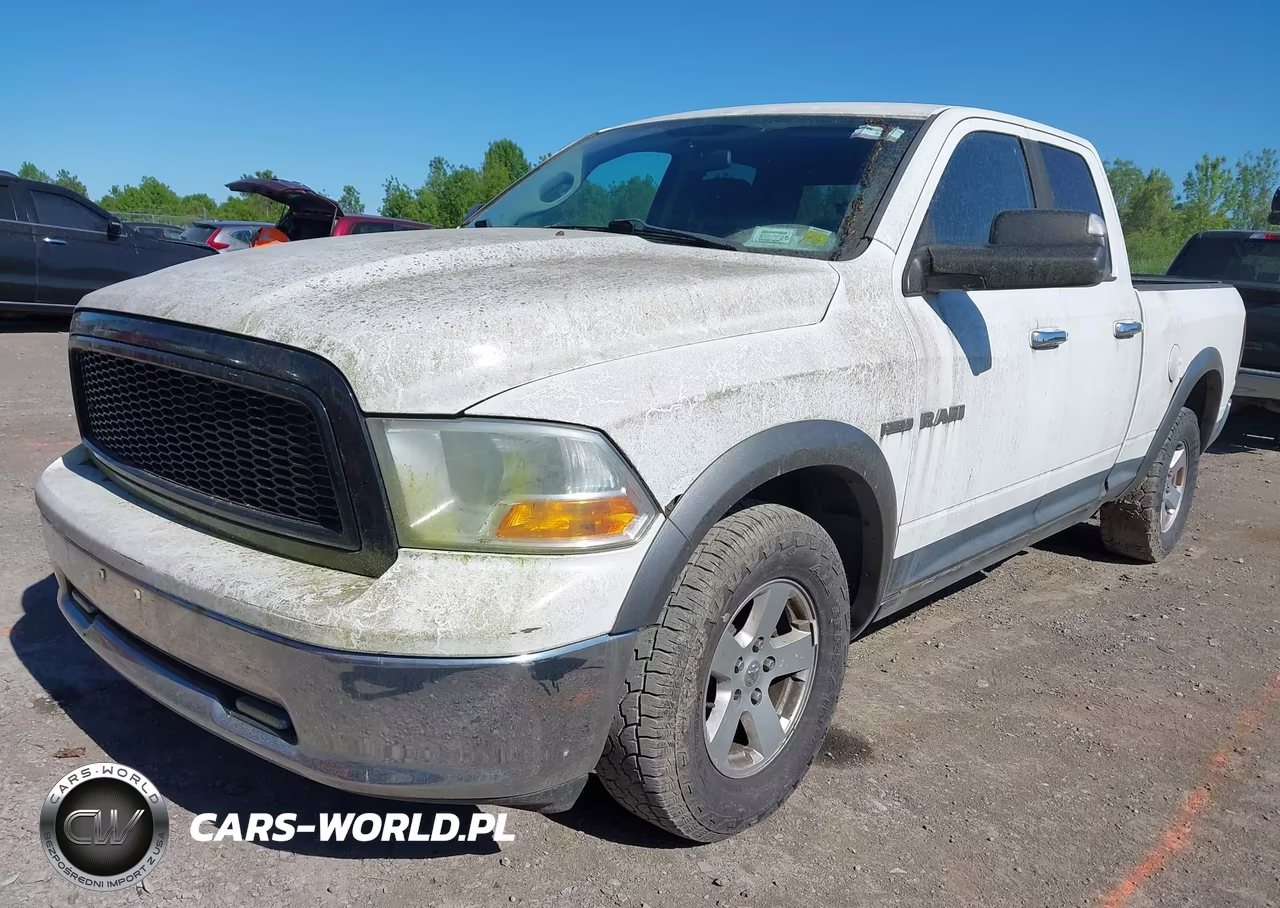 2010 Dodge Ram 1500 Slt-Sport-Trx VIN:1D7RV1GTXAS124383 - 2