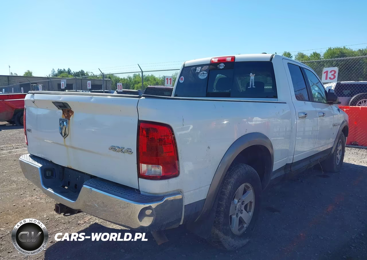 2010 Dodge Ram 1500 Slt-Sport-Trx VIN:1D7RV1GTXAS124383 - 4