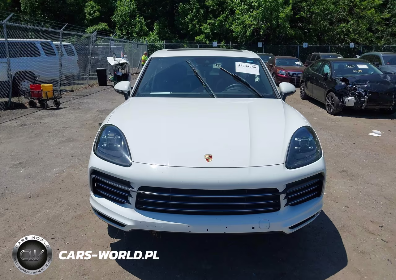 2020 Porsche Cayenne VIN:WP1AA2AYXLDA00035 - 12
