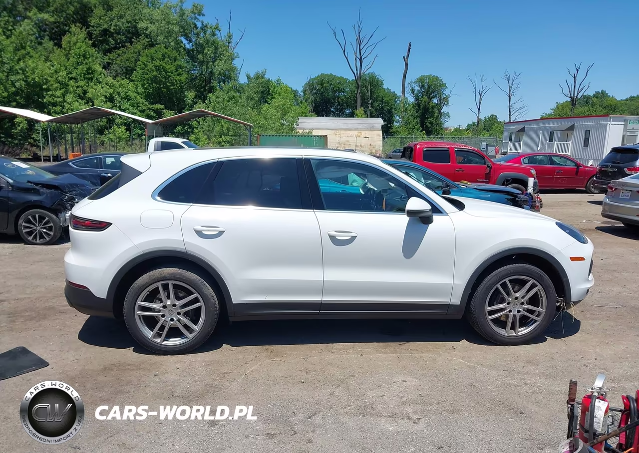 2020 Porsche Cayenne VIN:WP1AA2AYXLDA00035 - 13