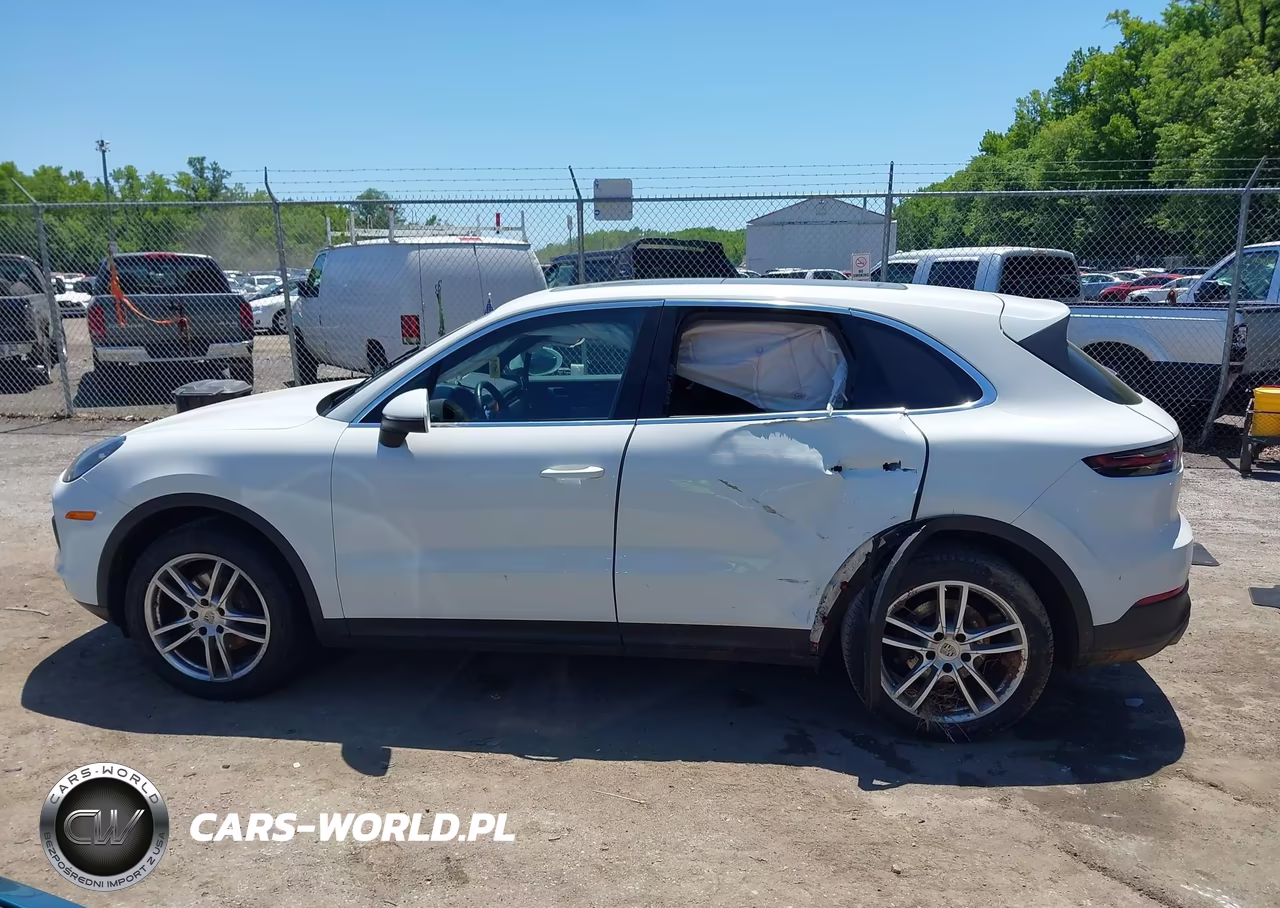 2020 Porsche Cayenne VIN:WP1AA2AYXLDA00035 - 14