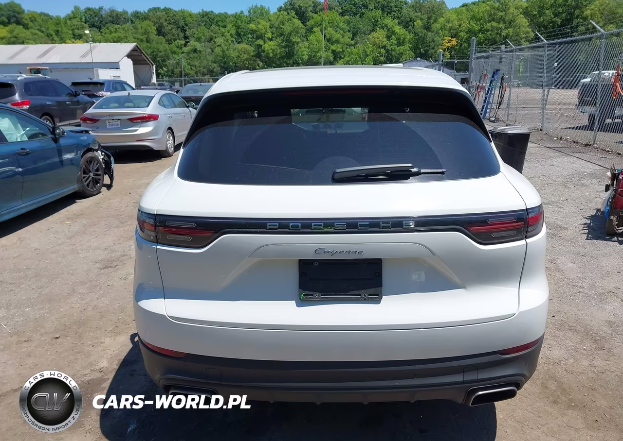 2020 Porsche Cayenne VIN:WP1AA2AYXLDA00035 - 16