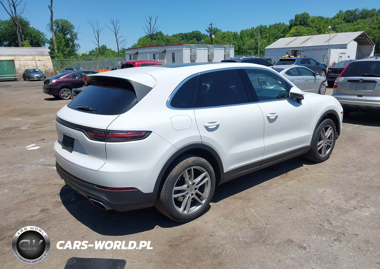 2020 Porsche Cayenne VIN:WP1AA2AYXLDA00035 - 4