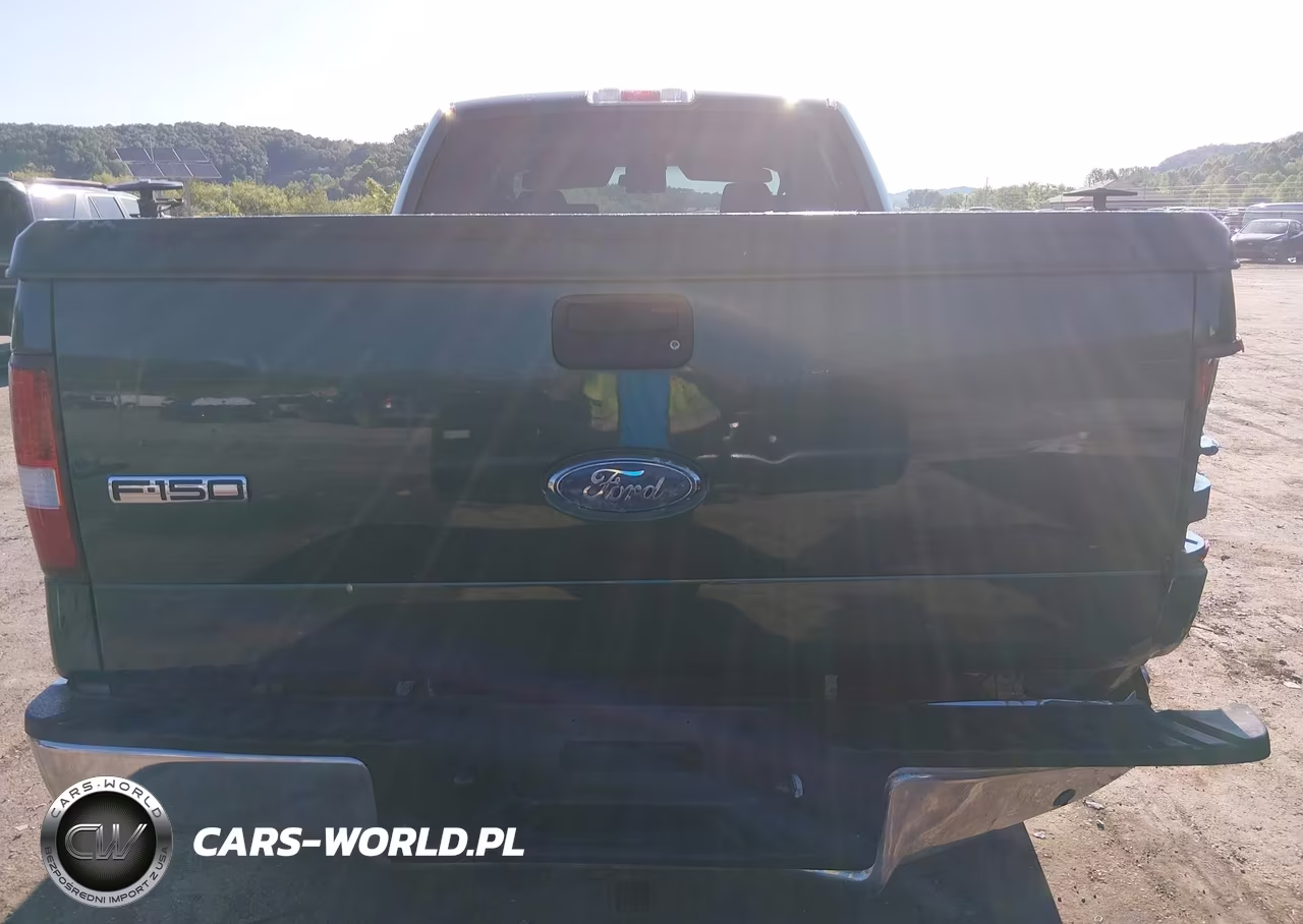 2008 Ford F-150 60Th Anniversary-Fx4-King Ranch-Lariat-Xlt VIN:1FTPW14V58FA50491 - 16