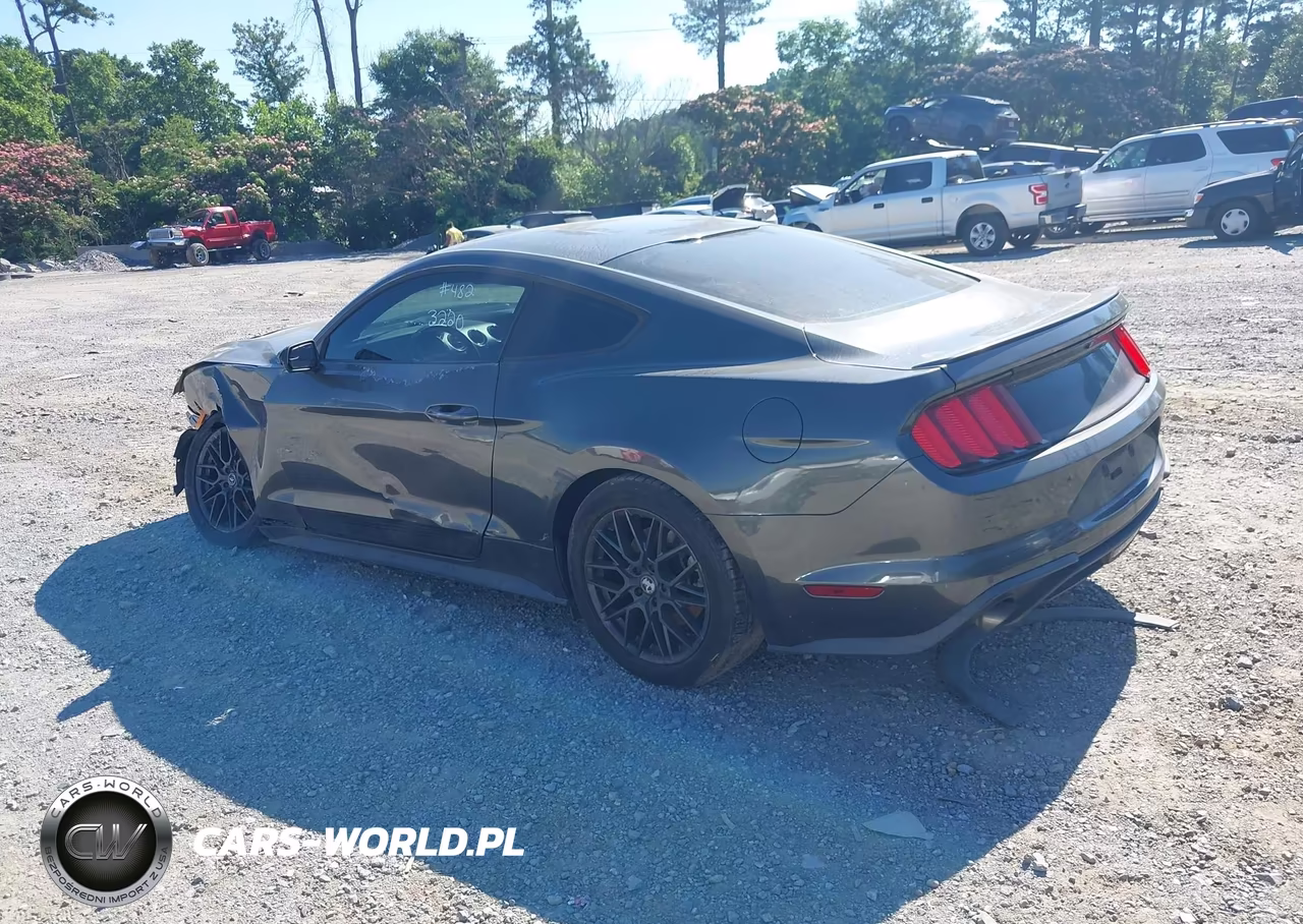 2015 Ford Mustang Ecoboost VIN:1FA6P8TH7F5343220 - 14