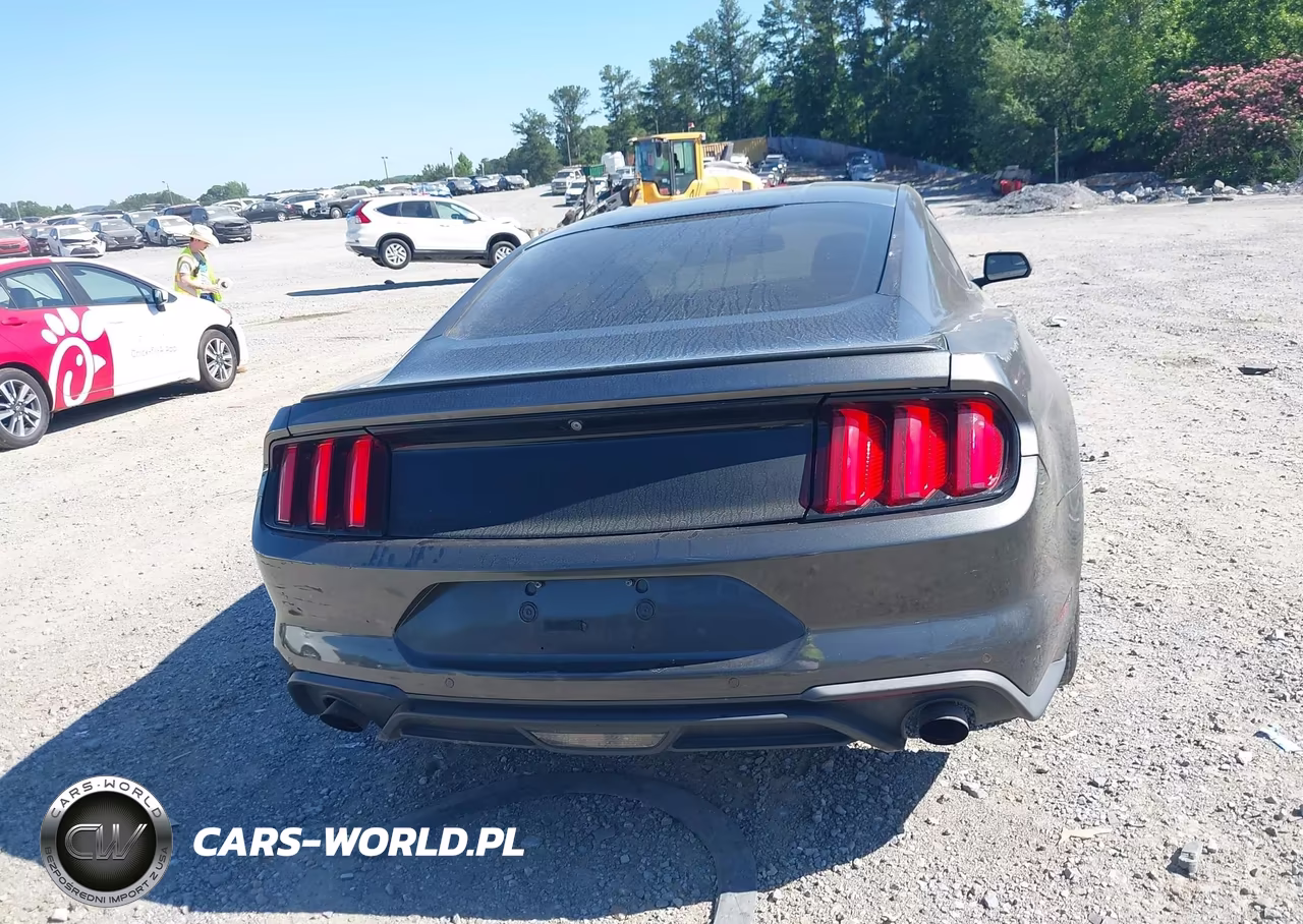 2015 Ford Mustang Ecoboost VIN:1FA6P8TH7F5343220 - 16