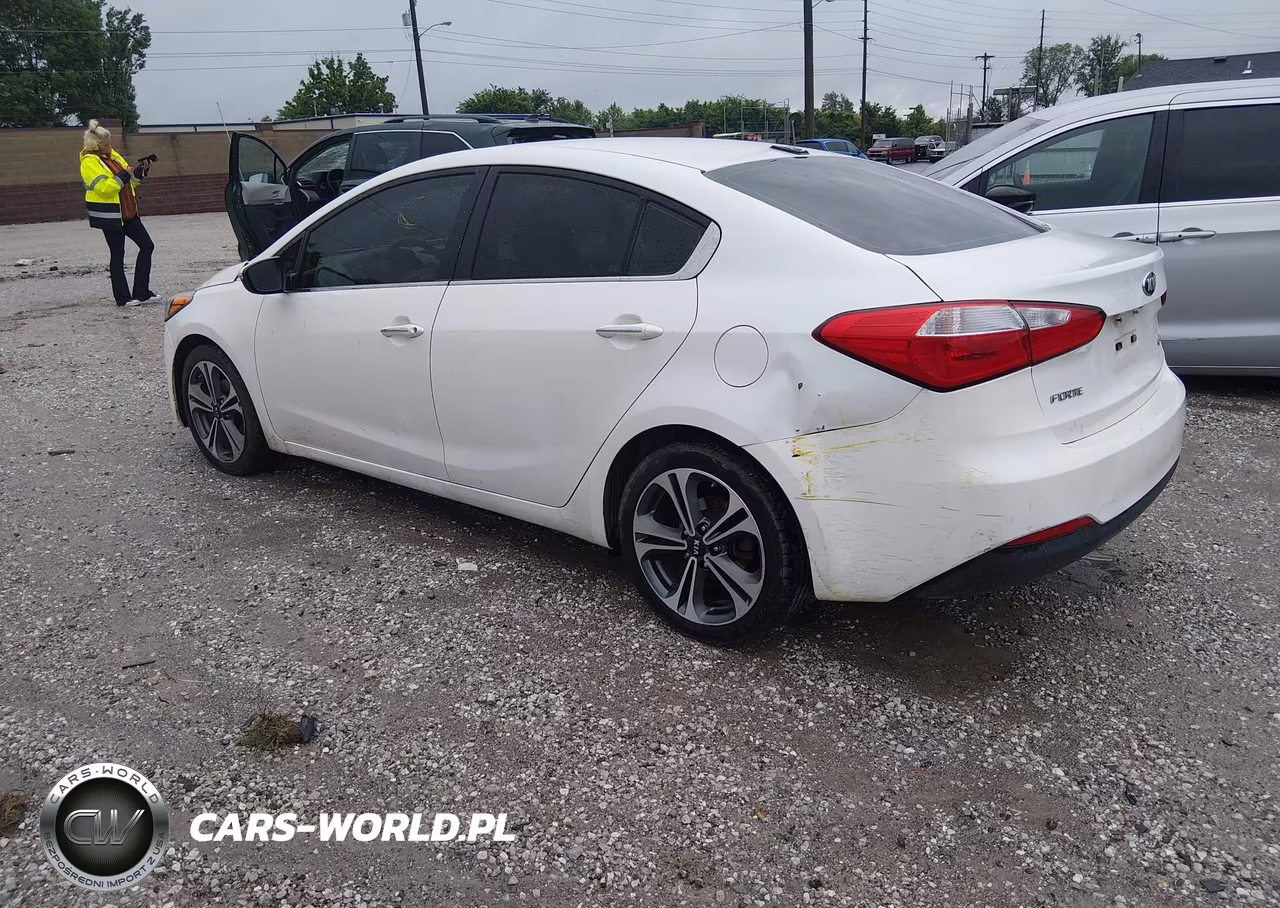 2016 Kia Forte Ex VIN:KNAFX4A82G5522365 - 3