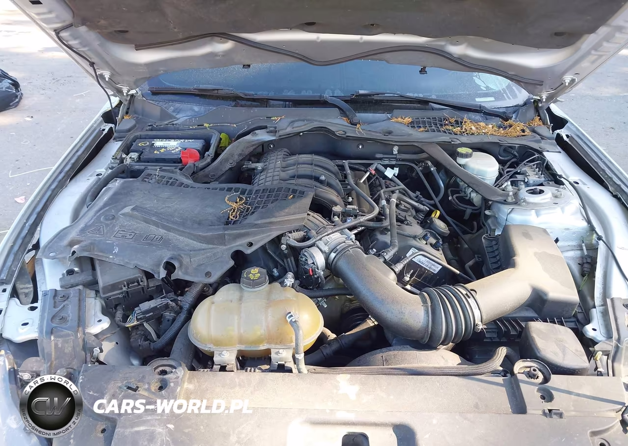 2015 Ford Mustang V6 VIN:1FATP8EM6F5352486 - 10