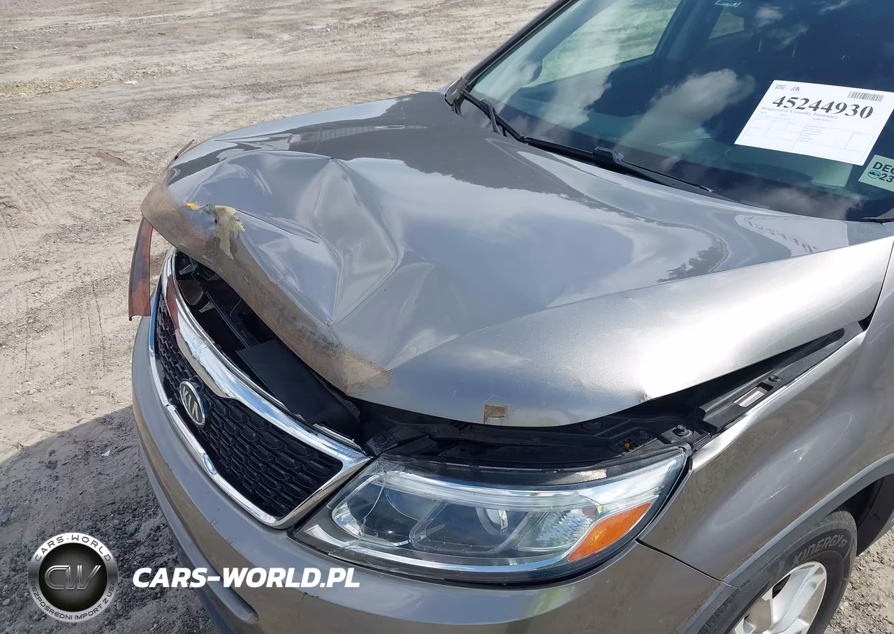 2014 Kia Sorento Lx VIN:5XYKT3A65EG548226 - 12