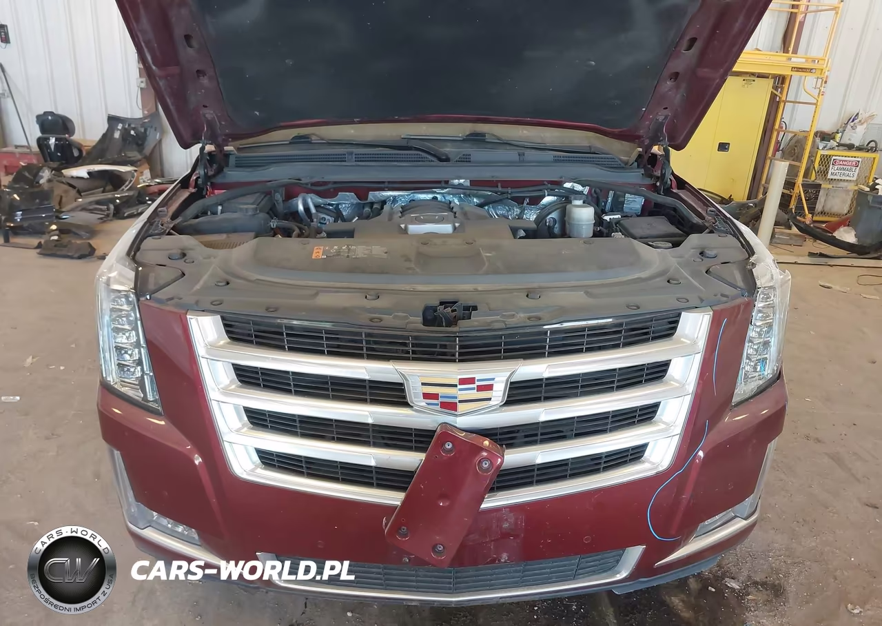 2017 Cadillac Escalade Luxury VIN:1GYS4BKJ4HR380802 - 10