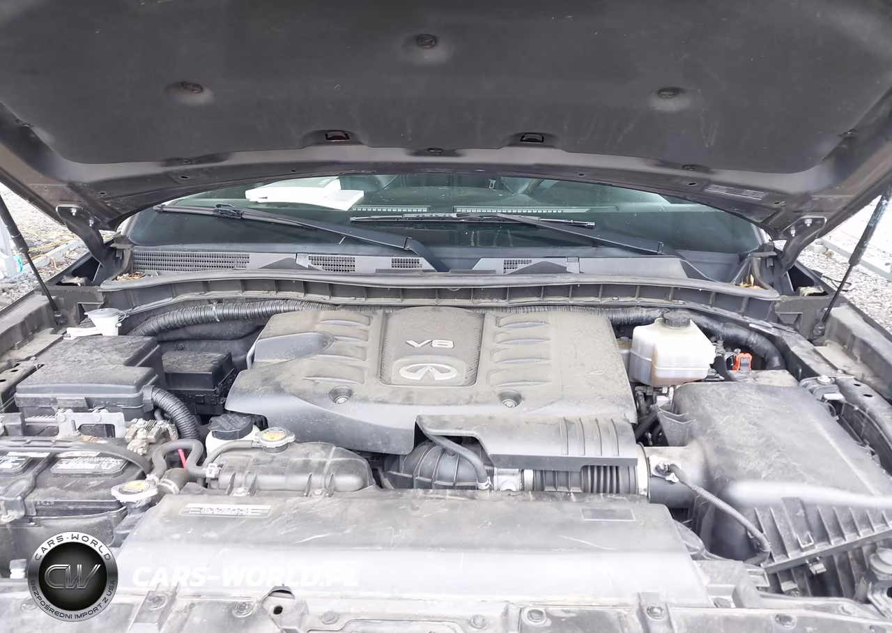 2016 Infiniti Qx80 VIN:JN8AZ2NCXG9401834 - 10