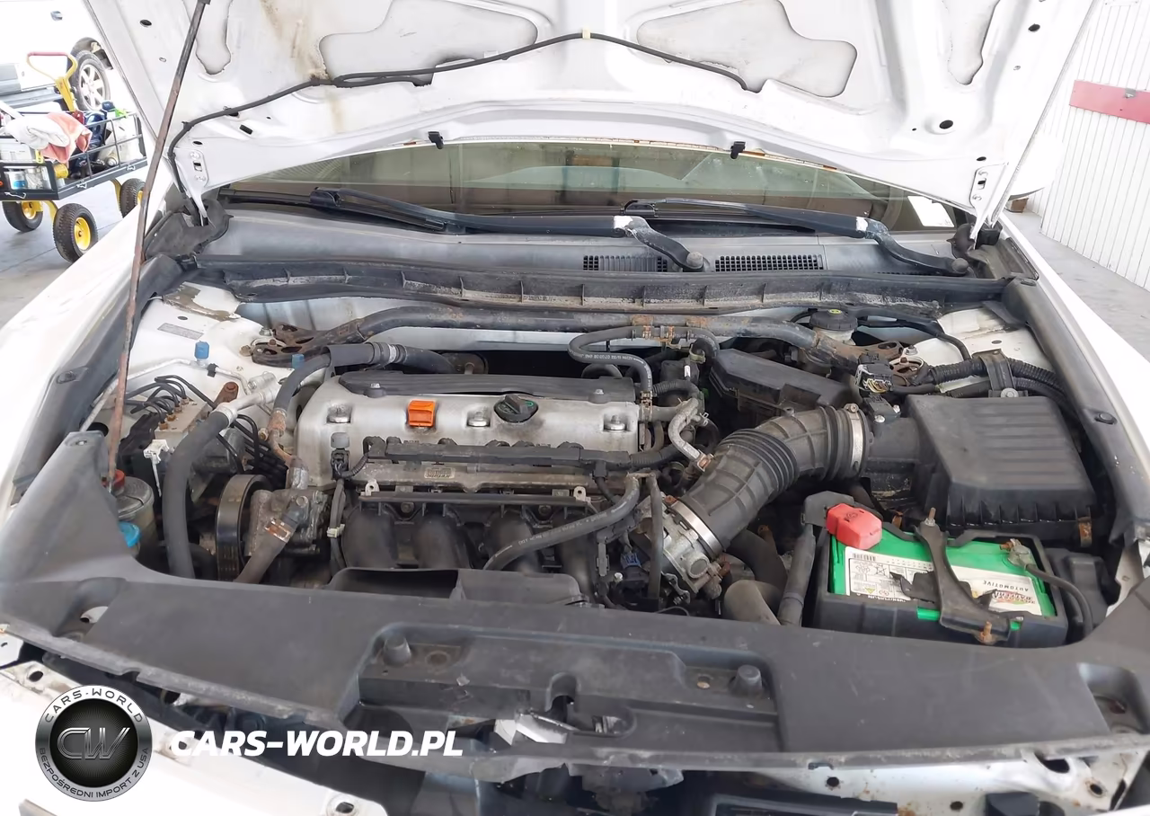 2010 Honda Accord 2.4 Ex-L VIN:1HGCS1B8XAA006241 - 10