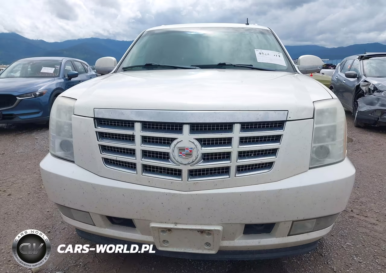 2009 Cadillac Escalade Esv Standard VIN:1GYFK26219R228357 - 12