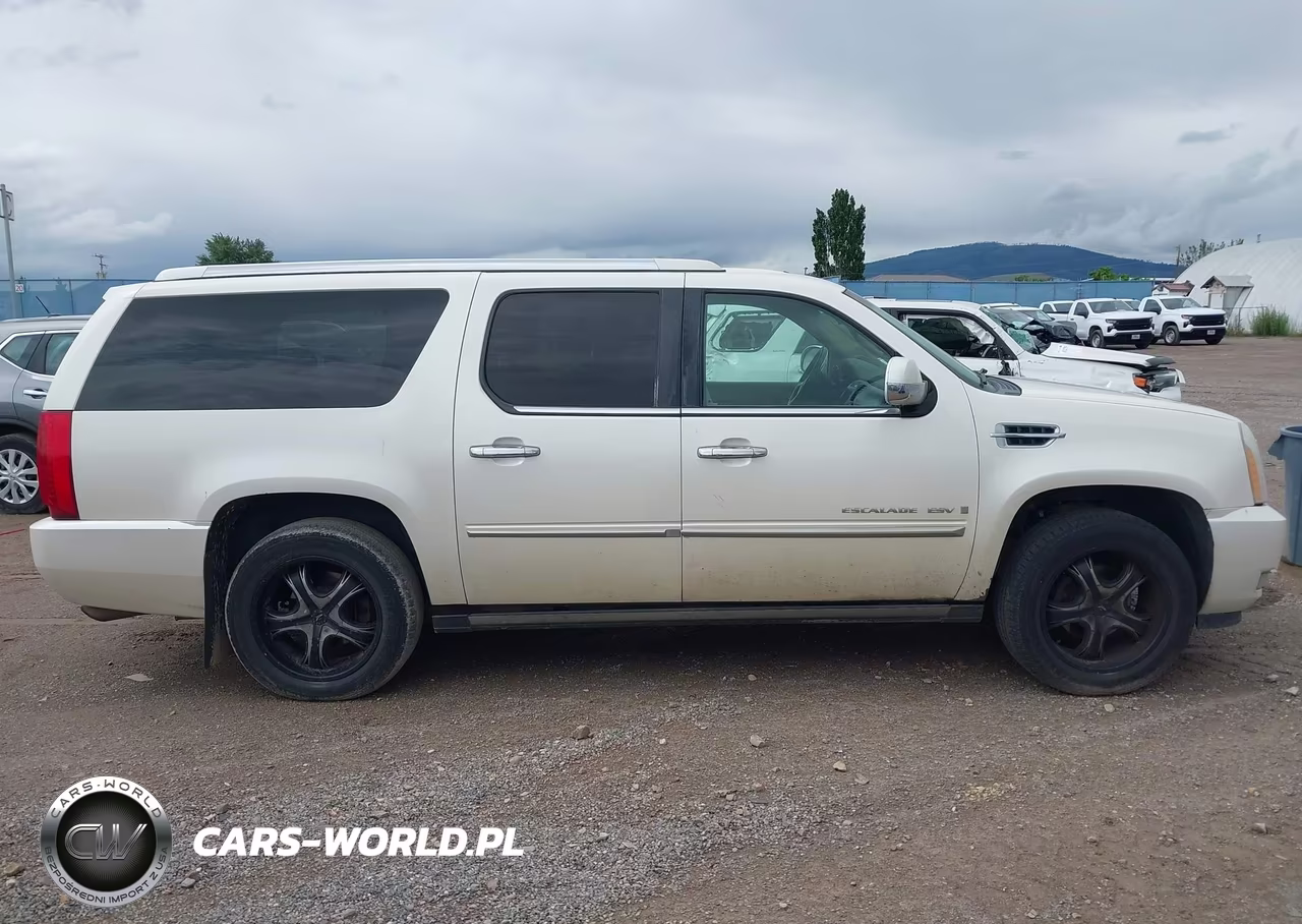 2009 Cadillac Escalade Esv Standard VIN:1GYFK26219R228357 - 13