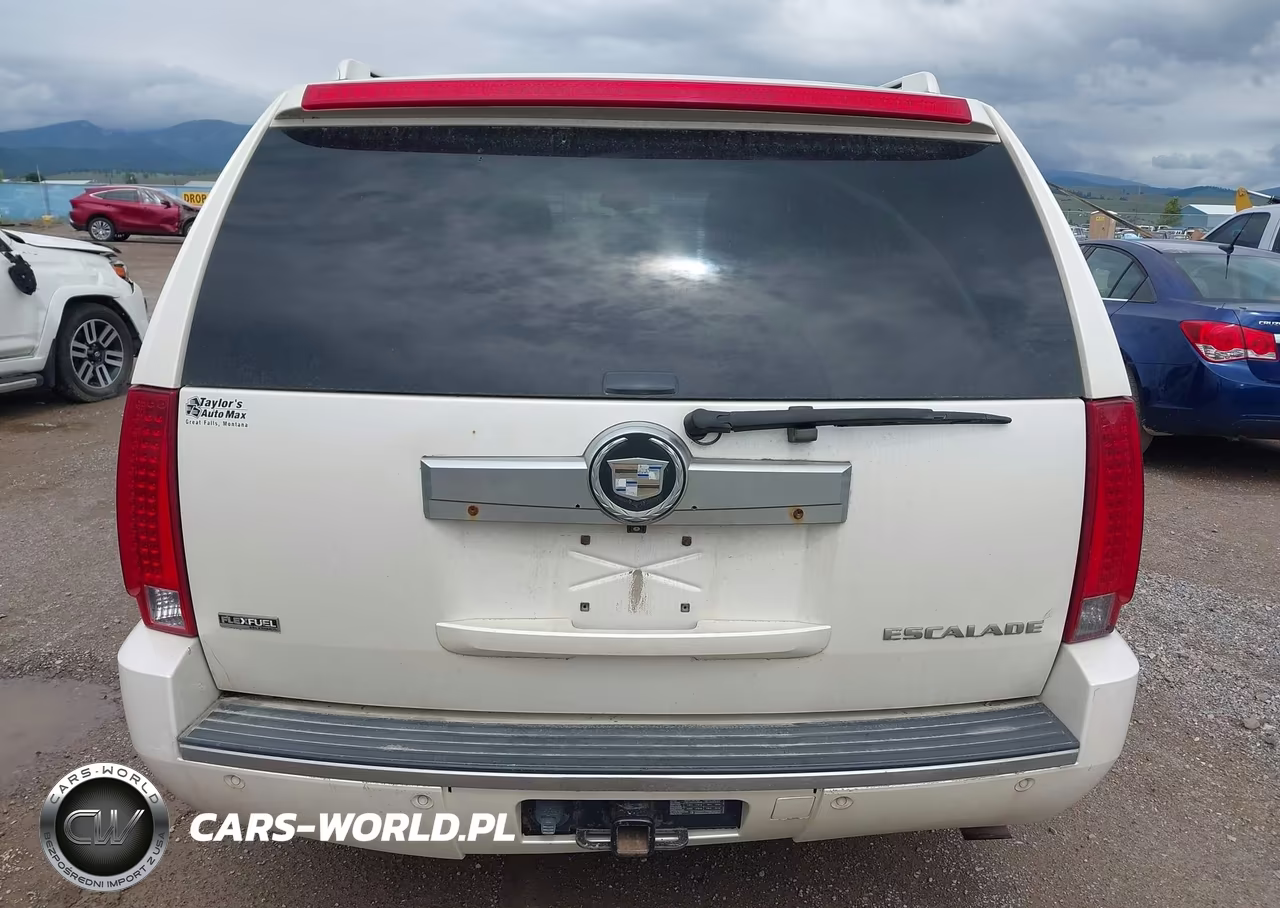 2009 Cadillac Escalade Esv Standard VIN:1GYFK26219R228357 - 16