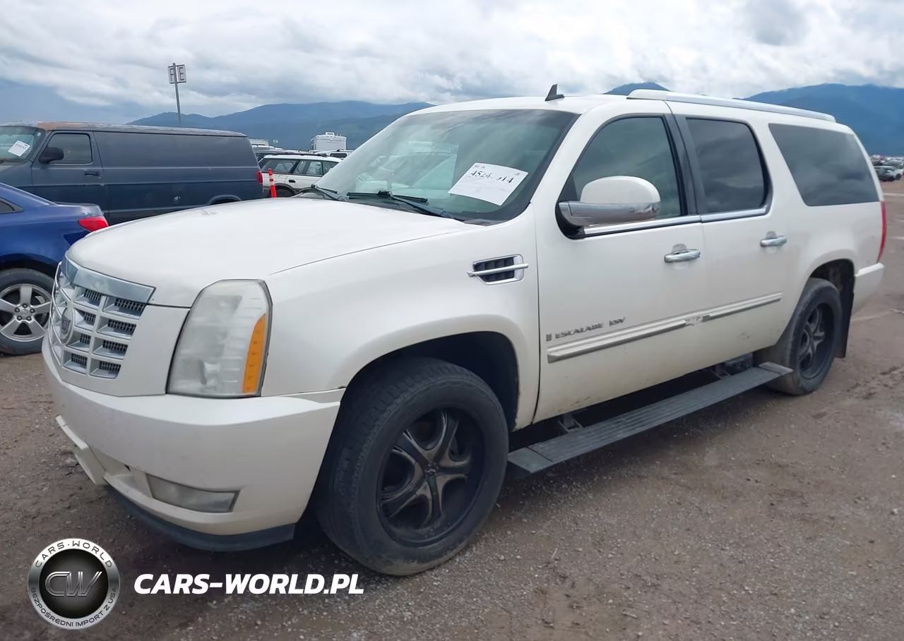2009 Cadillac Escalade Esv Standard VIN:1GYFK26219R228357 - 2