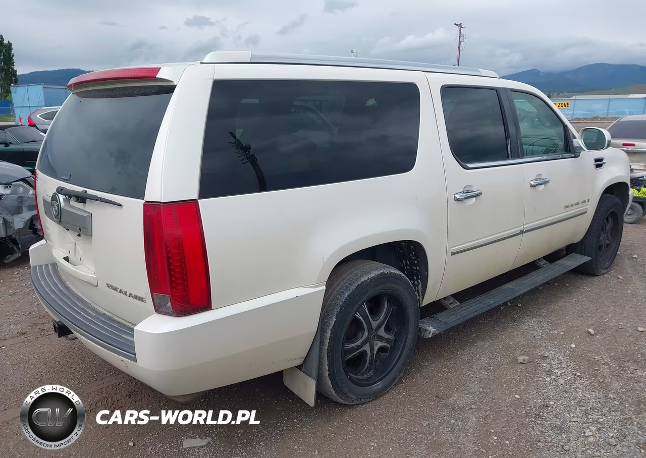 2009 Cadillac Escalade Esv Standard VIN:1GYFK26219R228357 - 4